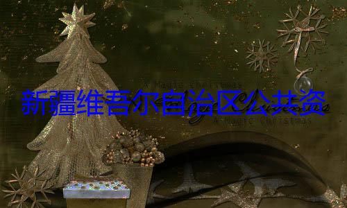 查调查建强接受审自治区公共资源交易中新疆维吾尔心副主任薛