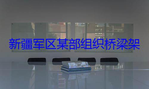 部组织桥梁图架设训练新疆军区某