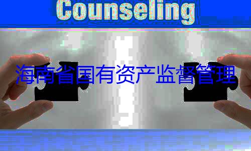 委副书记王查调查海南省国有资产监督管理委员会党有福接受审